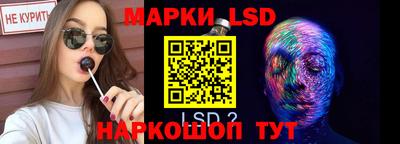 гидра Можга