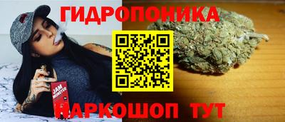 гидра Можга