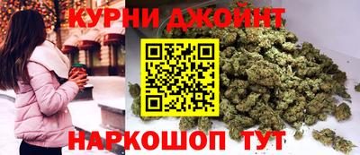 гидра Можга