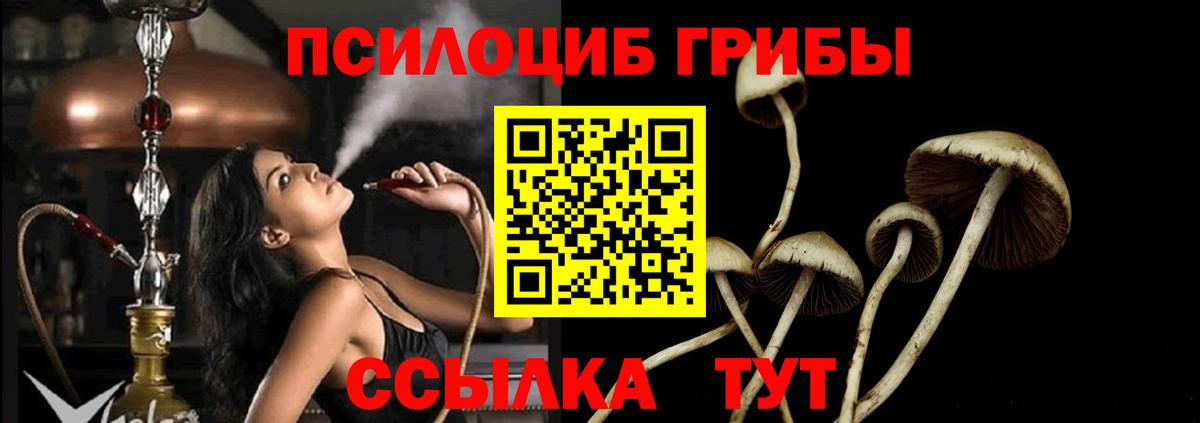 Сунжа  Галлюциногенные грибы Psilocybine cubensis  Псилоцибиновые грибы Psilocybe  Вход с VPN 